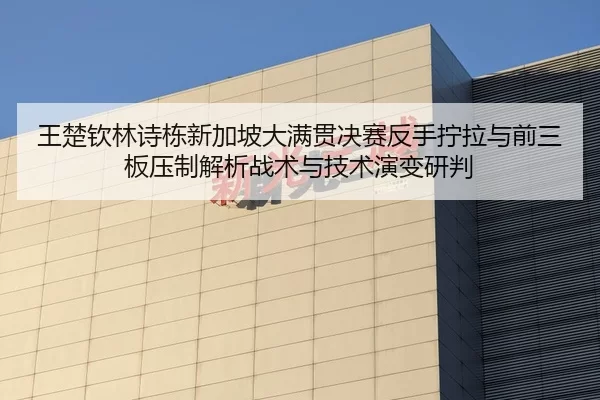 王楚钦林诗栋新加坡大满贯决赛反手拧拉与前三板压制解析战术与技术演变研判